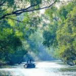 sundarban tour packages
