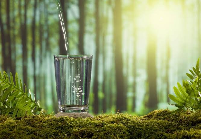 best drinking water solutions in Tarpon Springs